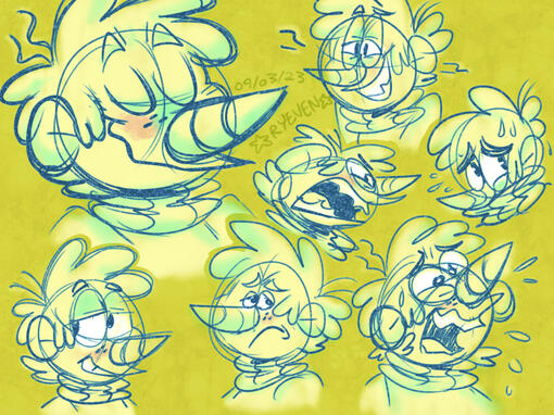 Sketch